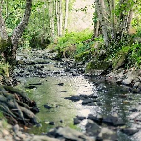 شقة Hellbachhof *