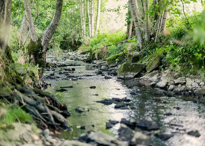 شقة Hellbachhof *